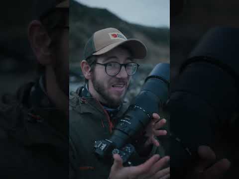 The Nikon 180-600mm for wildlife photography and the 1 problem with this lens #wildlife #photography