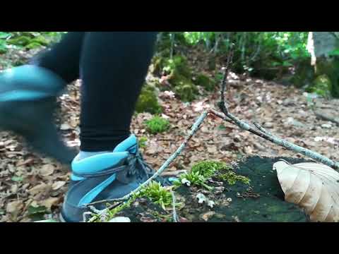 Spot comune Tornimparte