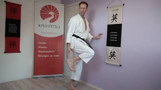 Ushiro-geri alleen de trap