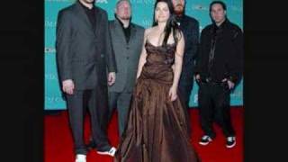 David Hodges feat Amy Lee - Fall into you