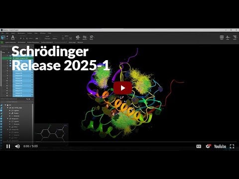 Schrödinger Release 2025-1 - Neue Features