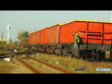 Rail Activity in Episcopia Bihor Shunting Yard - Autumn Edition