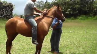 grupo laberinto/ la sorpresa