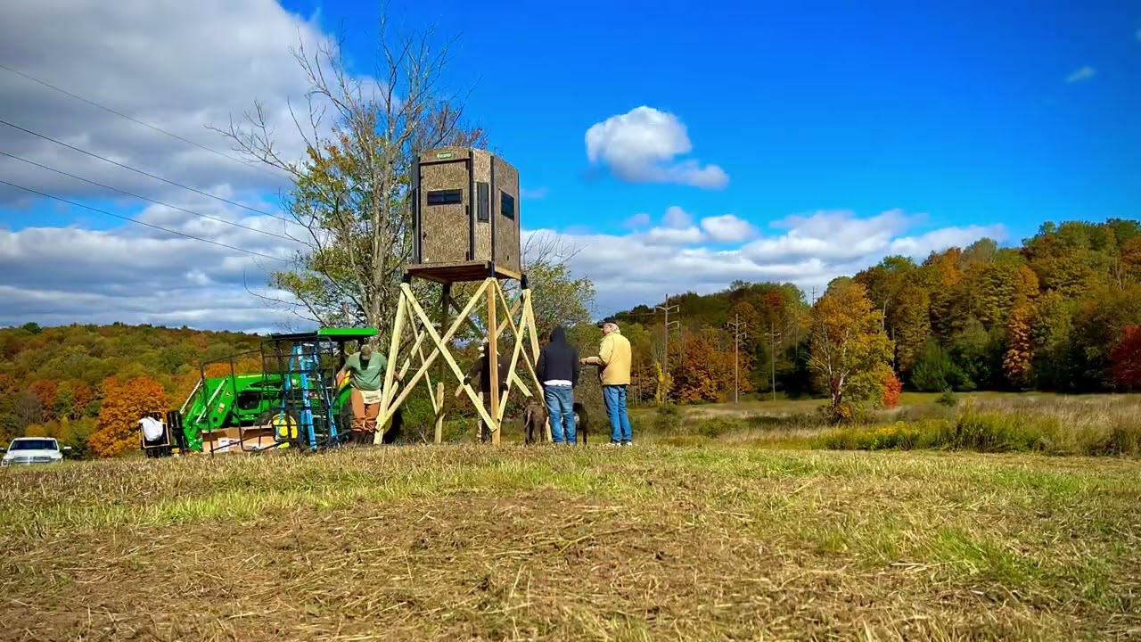 Fast Food Plots Video