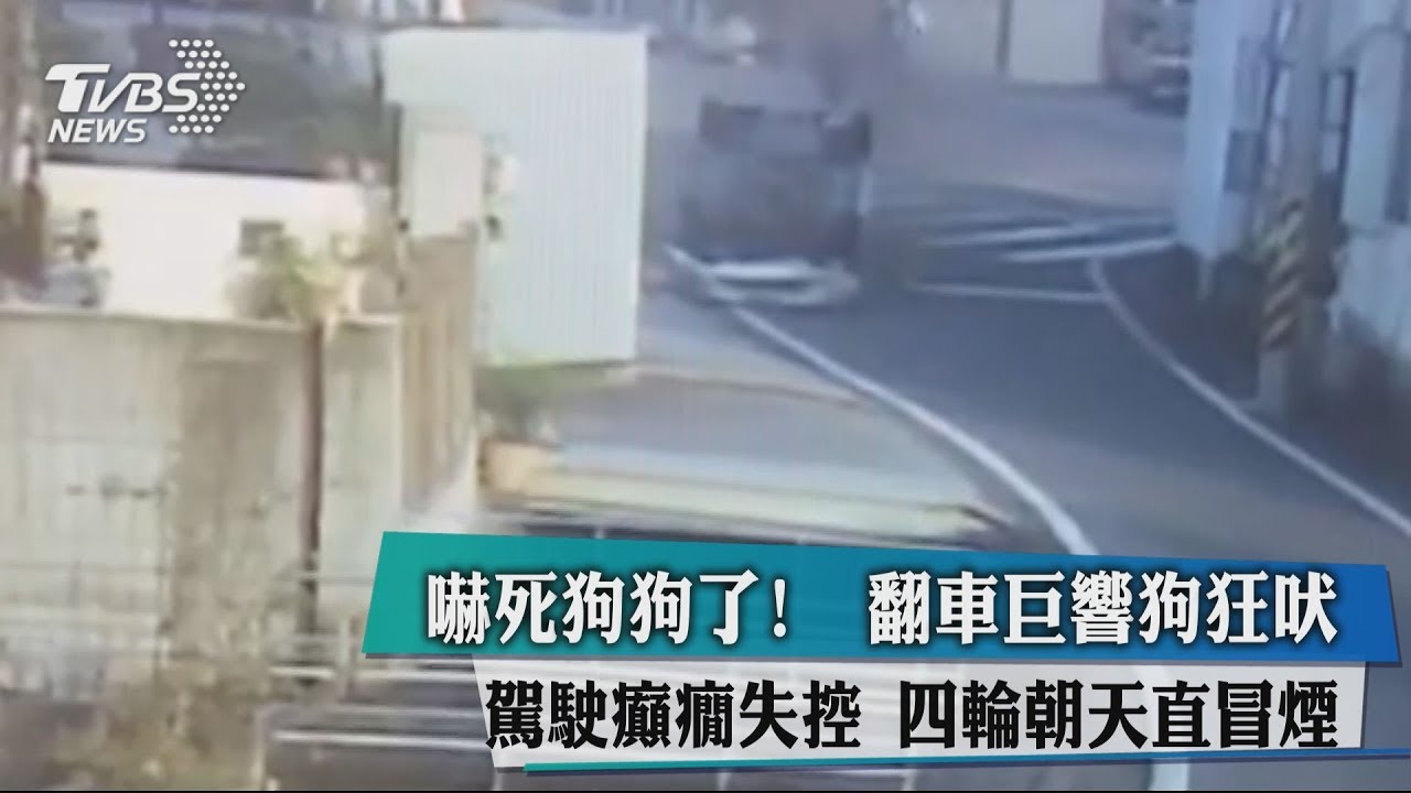 嚇死狗狗了！門口翻車巨響狗狂吠　駕駛癲癇失控
