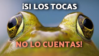 Thumbnail del capítulo