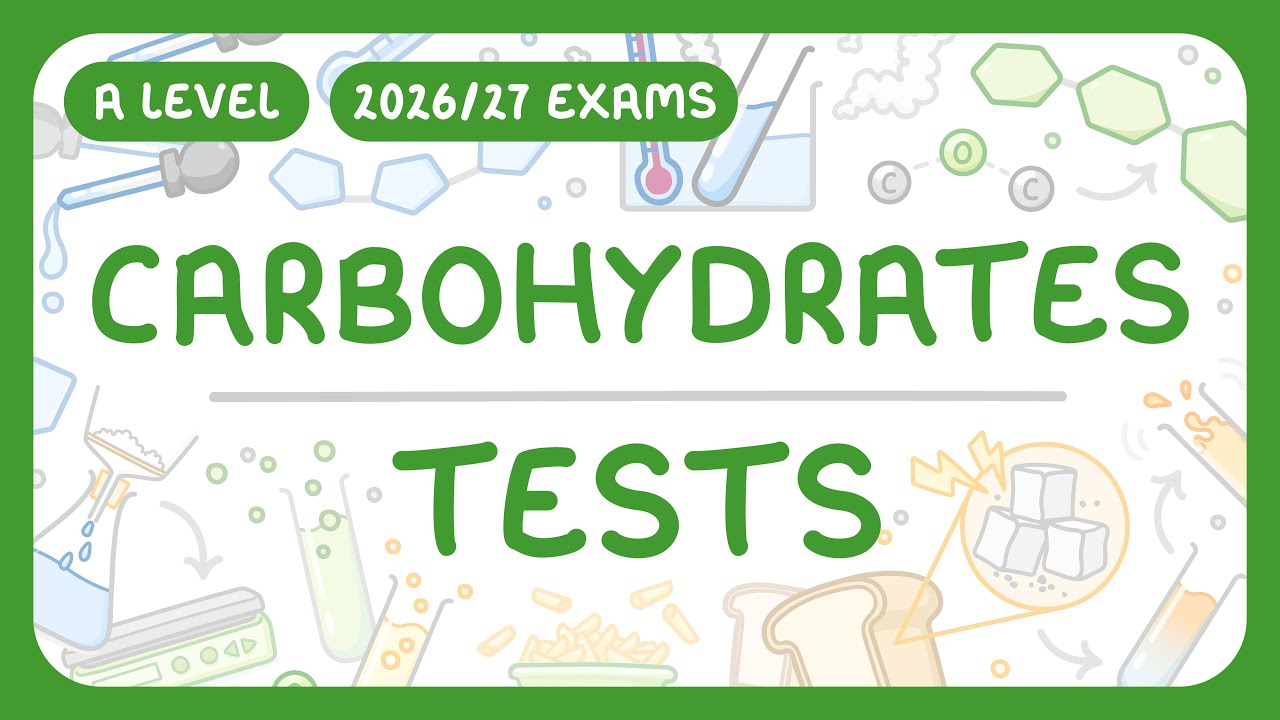 A-Level Biology - Carbohydrates: Tests - Reducing & Non-Reducing Sugars | Starch (2026/27 exams)