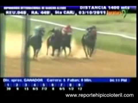 Resumen Lunes 03 de Octubre de 2011 - Rancho Alegre