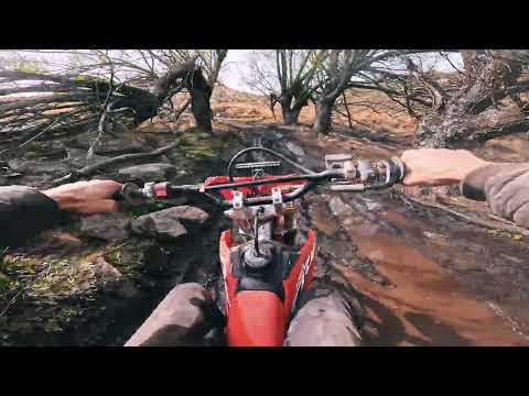 Rio de Los Sauces 2025