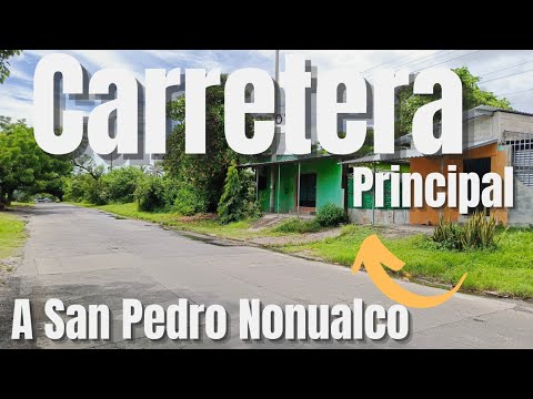 Esto incluyen 800 m2 de terreno  | desvío a San Pedro Nonualco  | $175k neg.