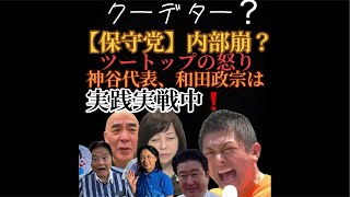 【保守党】クーデター⁉️①離党【参政党】本日も政治活動！②和田政宗も決死の活動！③冒頭【なるほど1118氏】の配信者責任について