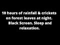 Crickets And Rain On Forest Leaves At Night Sound Only Black Screen Sleep Study Relax Nature