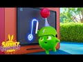 SUNNY BUNNIES Hopper S Funny Hat Season 7 Cartoons For Kids