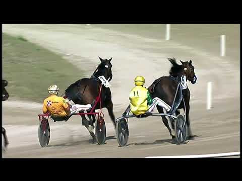 Napoli Trotto 03/10/2021 - 3ª corsa - 72° G.P. Lotteria 2ª batteria