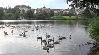 preview picture of video 'Weiskirchen Heilklimatischer Kurort Kurpark Weiher  Saarland Germany  T3'