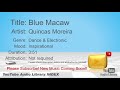 New Free Music 2018 Blue Macaw Quincas Moreira Dance Electronic Inspirational YouTube Audio Librar