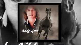 ANDY GIBB ~ WARM RIDE ~ # 2