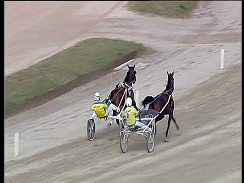 Trotto 07/10/2018 - 2ª prova di qualifica