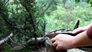 RAIDOPS 'Soldier spirit R.D.' Field test by LCGGEAR