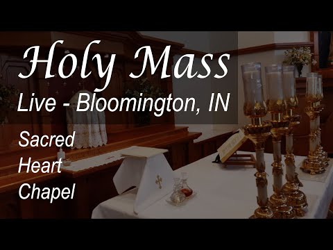 Live Mass & Rosary - 7 AM - Tue - St Scholastica - Feb 10