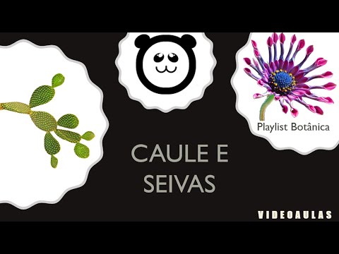 Caule e Seivas
