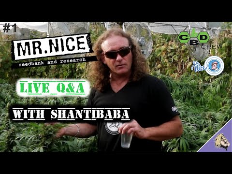 LIVE Q & A with Shantibaba #1