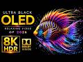 ULTRA Black OLED Display Test Dolby Vision HDR 240fps 8K Video ULTRA HD TV