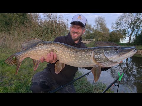 Dieses Gewässer scheint Hecht verseucht zu sein Allround Ansitz am Kanal