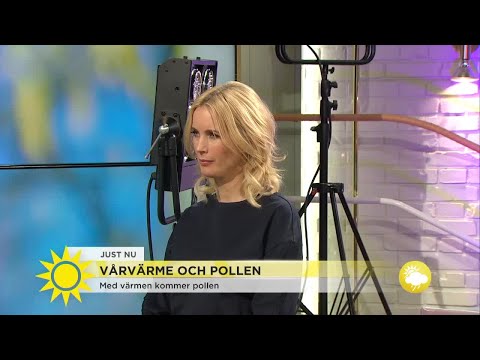 Väderspecial - med värmen kommer pollen - Nyhetsmorgon (TV4)