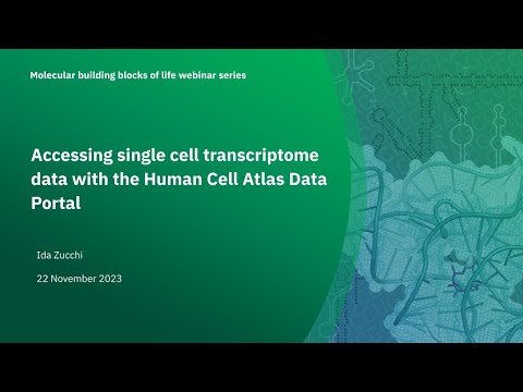Accessing single cell transcriptome data with the Human Cell Atlas Data Portal