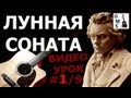 ЛУННАЯ СОНАТА на Гитаре - 1/9 видео урок. Moonlight Sonata on guitar with ...