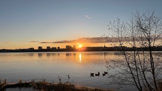 Friday Ascension Update from Hamburg.