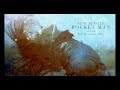 LA ROCHELLE BAND - Rocket Man (Preview ...