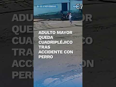 Hombre queda cuadripléjico tras ser derribado por un perro #shorts