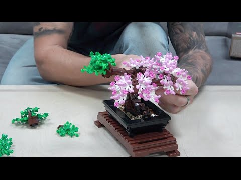 LEGO 10281 Bonsai Baum im Review: tolles Bäumchen mit Parasitenbefall 😁