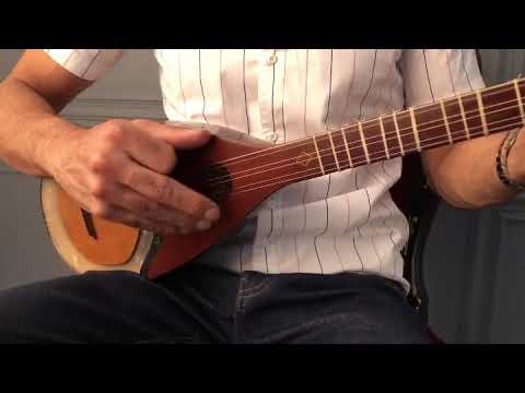 Persian Shourangiz Shurangiz Surangiz String Musical Instrument SHM-3 image 12