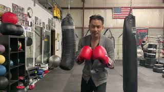 LEFT HOOK to Body Punch (pro style technique)