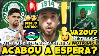 URGENTE! ACABOU A ESPERA? VAZA FOTO DE MARLON COM CAMISA DO PALMEIRAS! RUBENS SEGUE NA MIRA! E MAIS