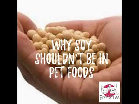 Why Soy Shouldn’t Be In Pet Foods