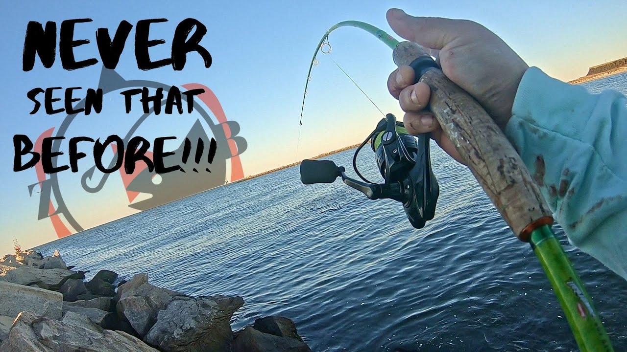 Witnessed a BLITZ and FREAKED Out!!! (Surprise Catch!)