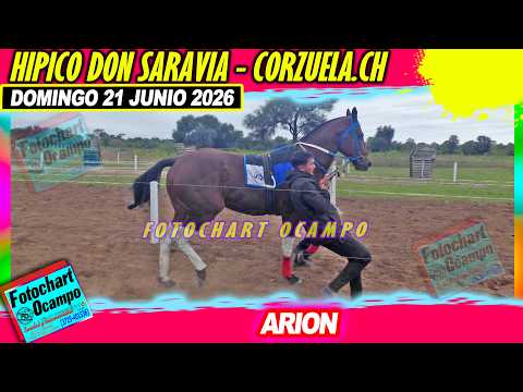 ARION Corzuela CH 21 06 2026
