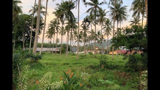 4+ Rai of Flat Land on Main Road and Amazing Mountain Views for Sale