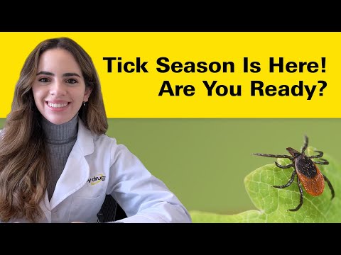 What to Do After a Tick Bite?
