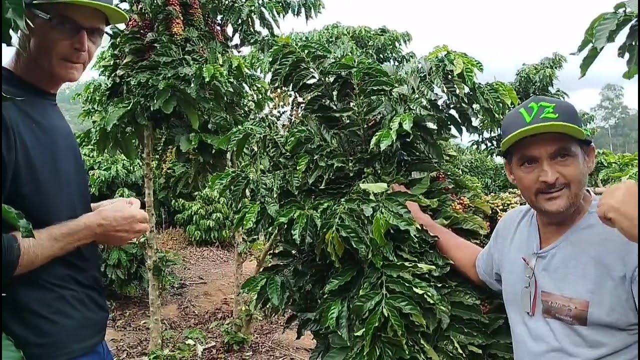 O CLONE Z13 E O MELHOR CLONE DO MUNDO.VEJA Ó HOMEM QUE CRIOU Ó CLONE Z13.EDISON ZANDONADI???