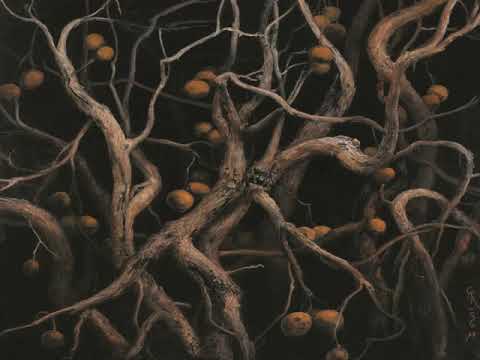 Augrimmer : Pantaleimon Speaks/Lynx (Single)