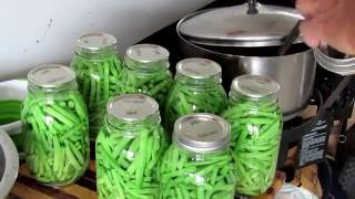 Canning Fresh Picked Strike Green Beans