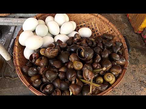 Amazing Street Food - Steamed Snails at PC market, Phnom Penh