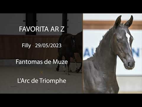 Favorita AR Z (Fantomas de Muze x L'Arc de Triomphe)