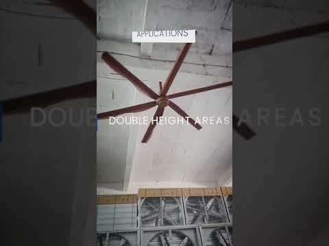 Eagle Home Series Gearless DC PMSAC DDM HVLS Fan