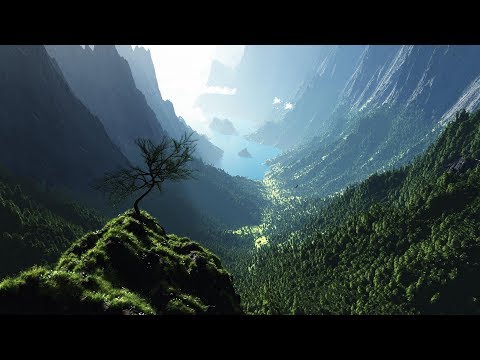 Music is the language of God, of the Universe, of the Nature